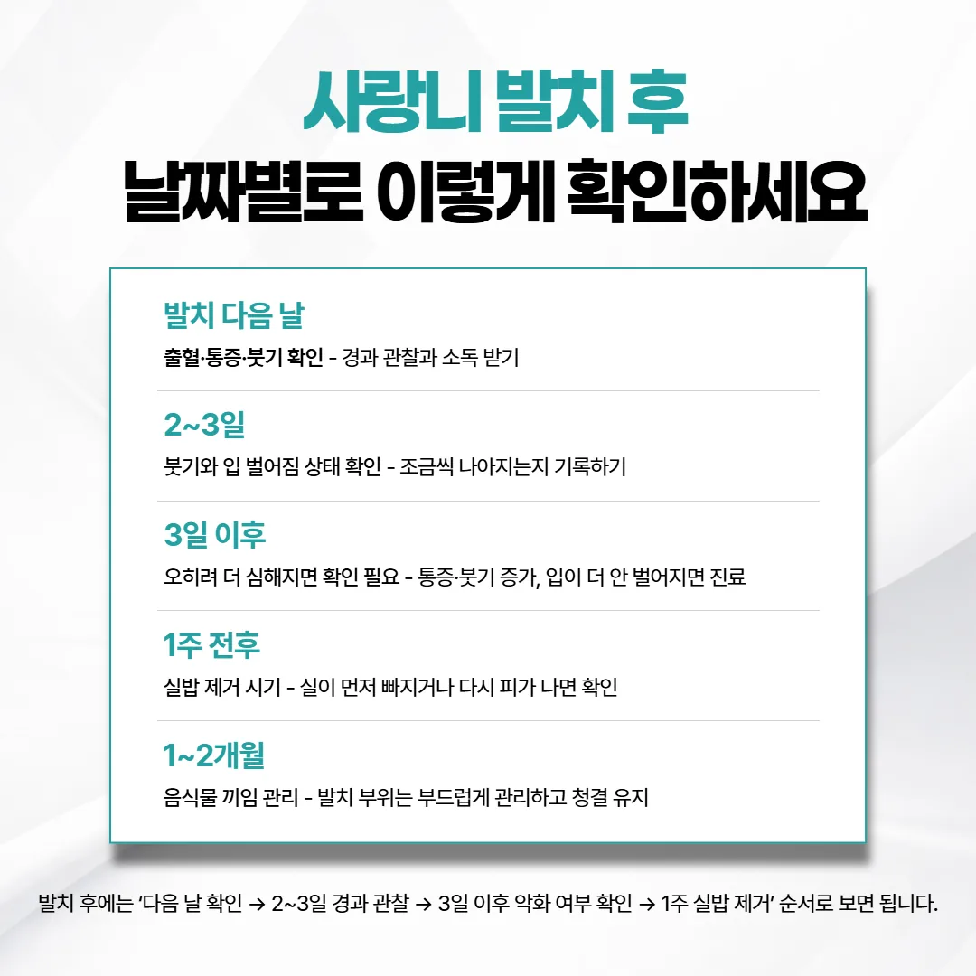 사랑니 발치 후 경과 기록표