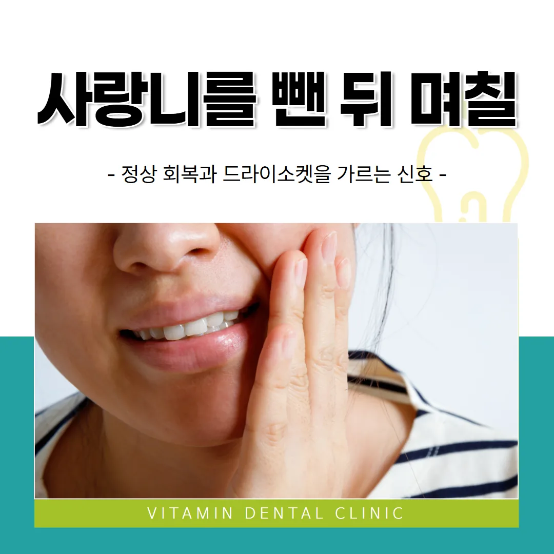 사랑니를 뺀 뒤 며칠 — 정상 회복과 드라이소켓을 가르는 신호
