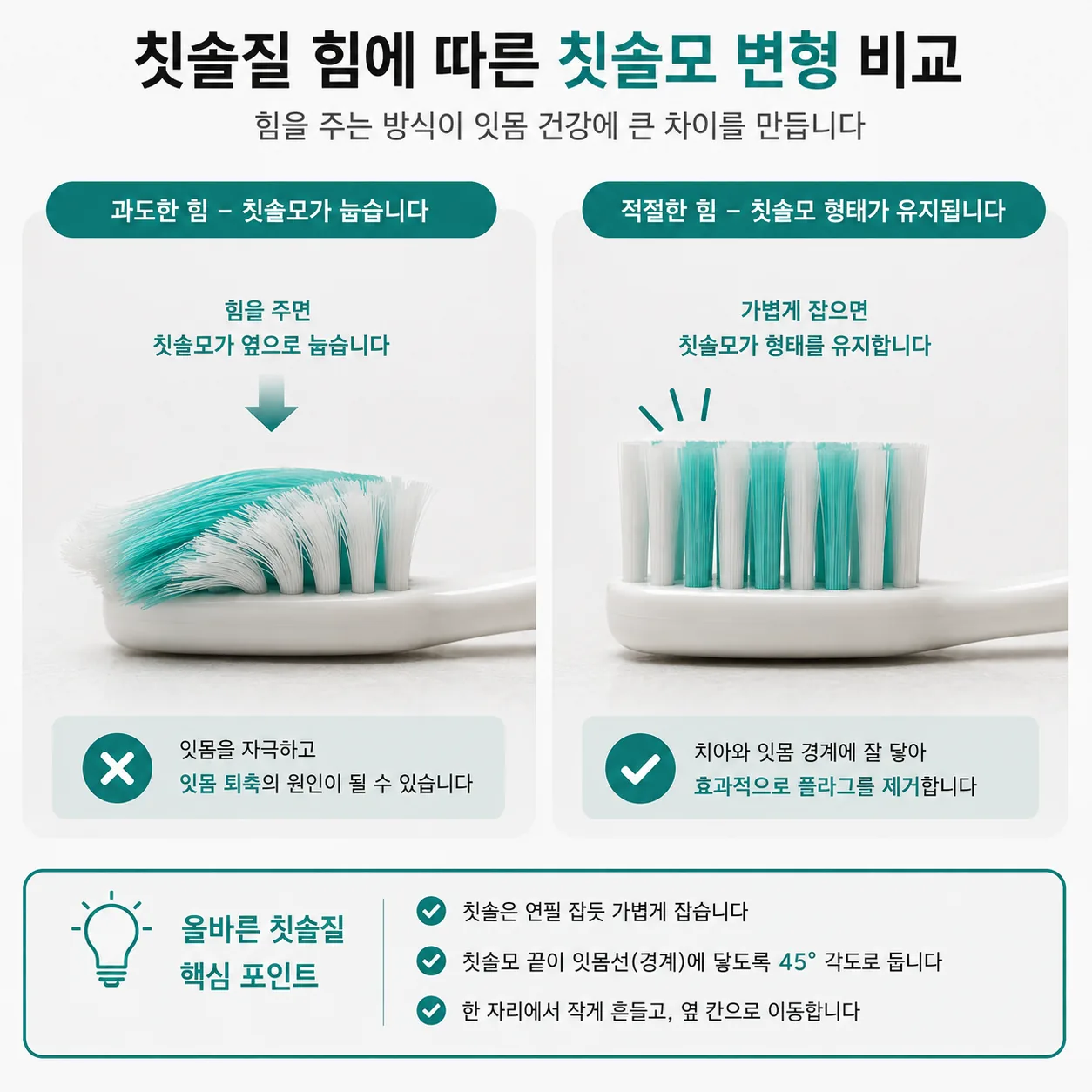 칫솔질 힘에 따른 칫솔모 변형 비교