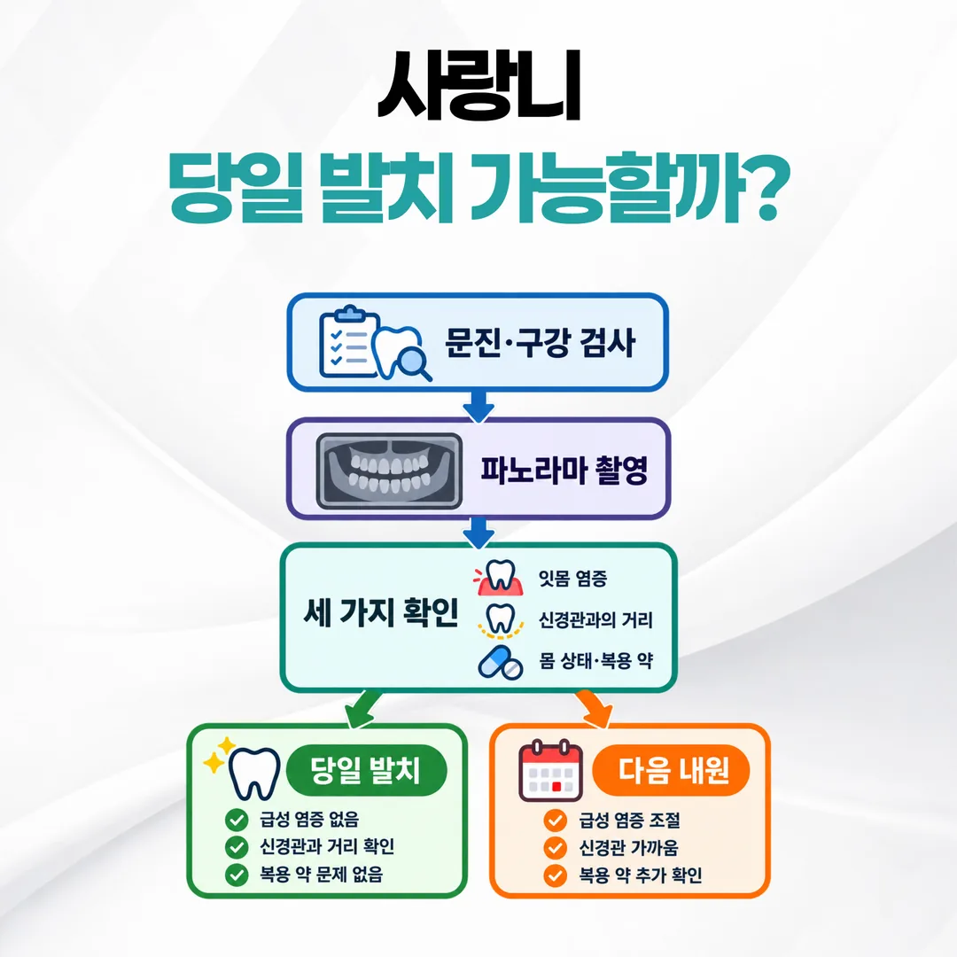 사랑니 첫 내원 흐름도: 문진과 구강 검사, 파노라마 촬영, 염증과 신경 거리와 복용 약 확인을 거쳐 당일 발치와 다음 내원으로 갈리는 과정