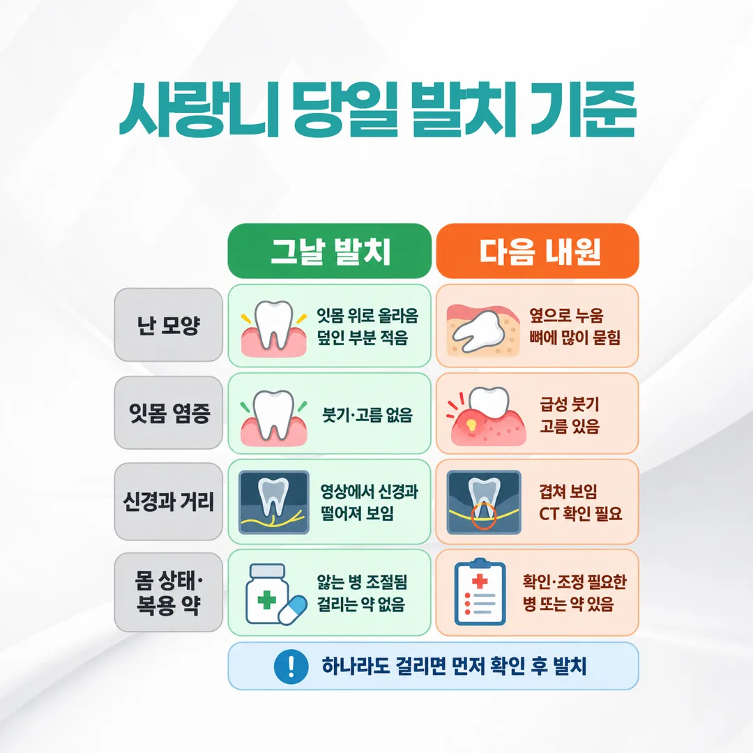 사랑니 당일 발치와 다음 내원을 가르는 네 가지 확인 축 비교표