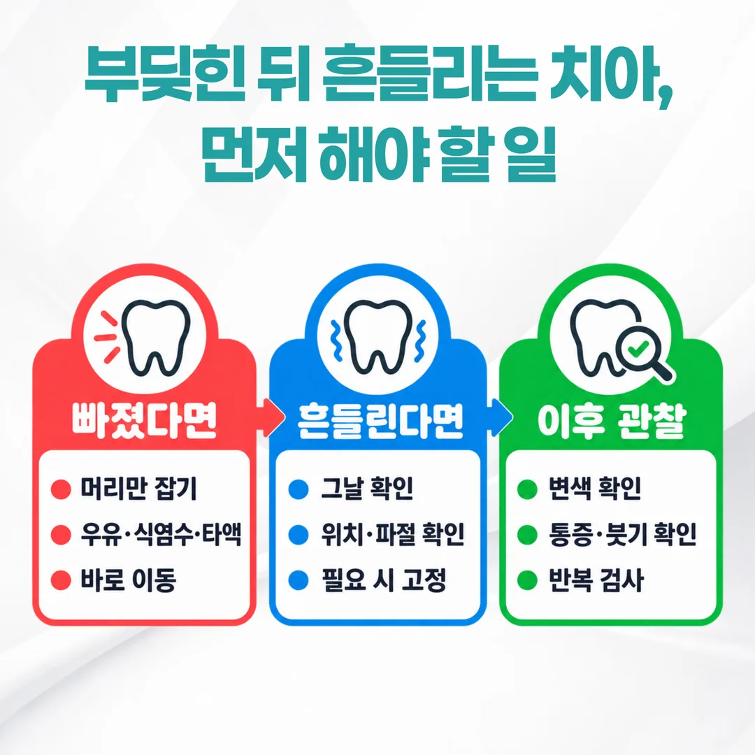 외상 후 치아 흔들림의 당일 확인과 추적 관찰 시간 축 도식