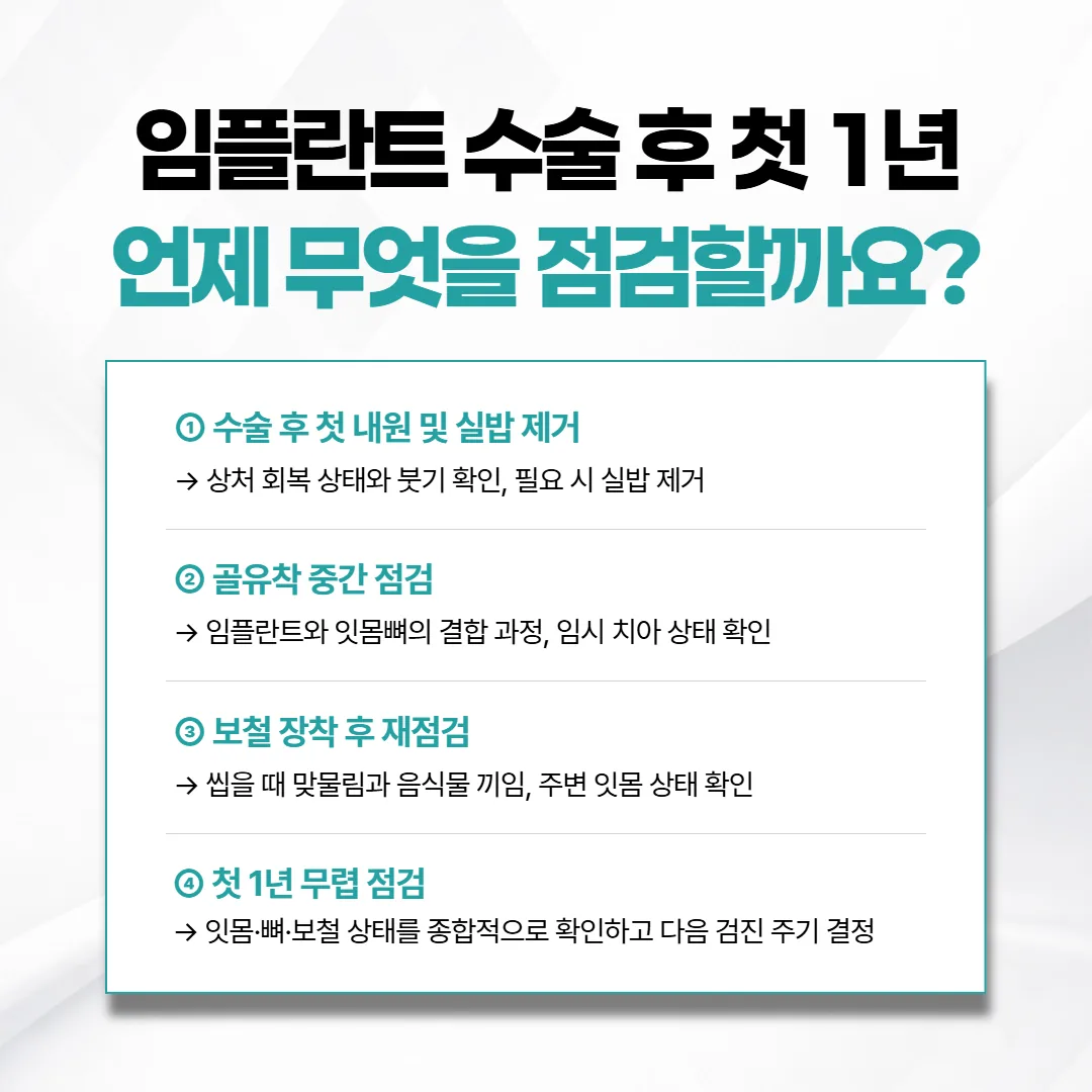 임플란트 심은 뒤 첫 1년 점검 시간표 도식